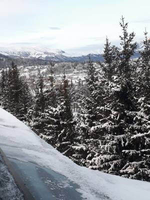 ფოტო 16: ქირავდება ბინა ბაკურიანში