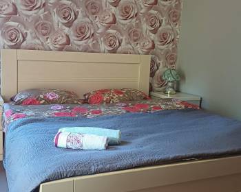 ქირავდება ბორჯომში დღიურად