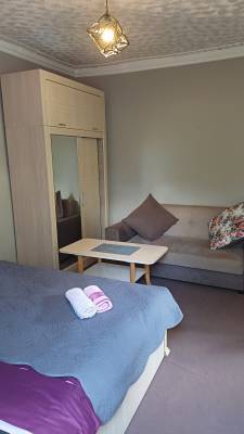 ფოტო 6: ქირავდება ბორჯომში დღიურად