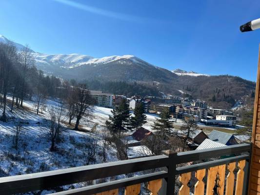 ფოტო 4: ქირავდება ბინა ბაკურიანში