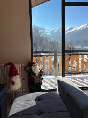 ფოტო 9: ქირავდება ბინა ბაკურიანში