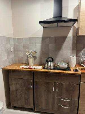 ფოტო 11: ქირავდება ბინა ბაკურიანში