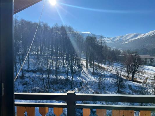 ფოტო 6: ქირავდება ბინა ბაკურიანში