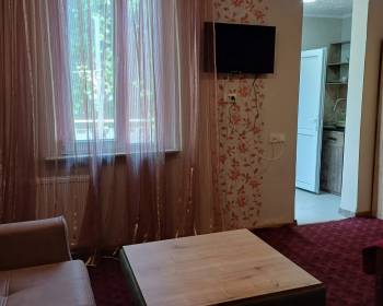 ქირავდება ბორჯომში დღიურად