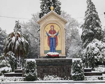 ბინა დღიურად