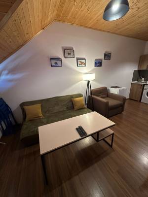 ფოტო 6: ქირავდება ბინა ბაკურიანში