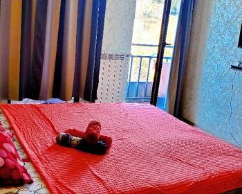 ქირავდება დღიურად მყუდრო ბინა!