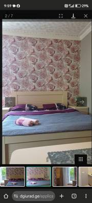 ფოტო 3: ქირავდება ბორჯომში დღიურად