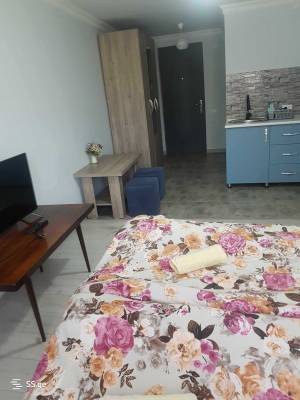 ფოტო 8: ქირავდება სტუდიოს ტიპის ბინა