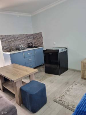 ფოტო 20: ქირავდება ოთახები საოჯახო სასტუმროში აივნითა და მთის ხედებით