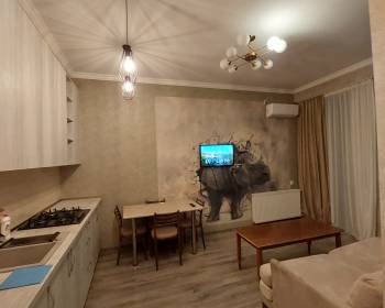 ქირავდება დღიურად 2 ოთახიანი ბინა დიდ დიღომში