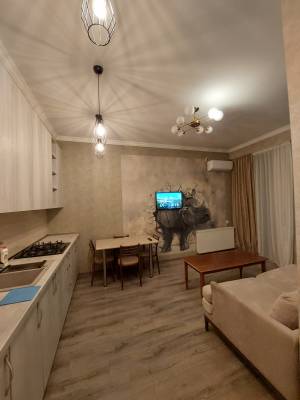 ფოტო 1: ქირავდება დღიურად 2 ოთახიანი ბინა დიდ დიღომში