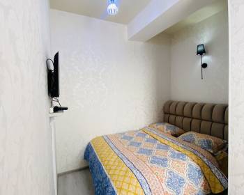 აღმაშენებელზე. პალმების ხეივანში. სიმბას კორპუსი