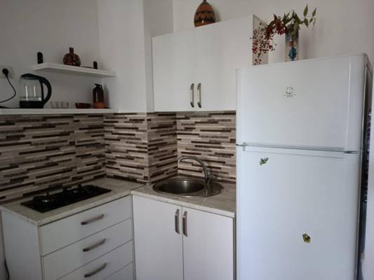 ფოტო 4: ქირავდება დღიურად კიკვიძის პარკთან