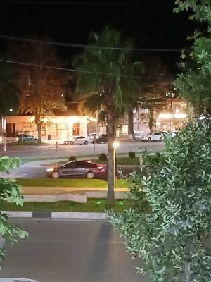 ფოტო 8: დღიურზე.