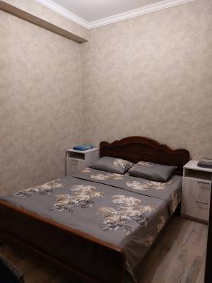 ფოტო 4: ქირავდება დღიურად და საათობრივად 2 ოთახიანი ბინა დიდ დიღომში