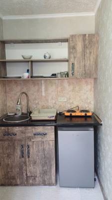 ფოტო 6: ქირავდება ბორჯომში დღიურად