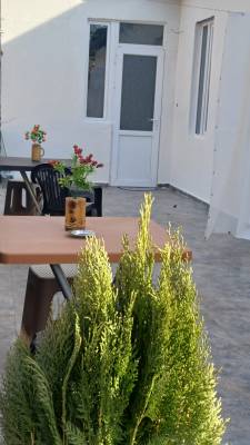 ფოტო 1: ქირავდება ბორჯომში დღიურად