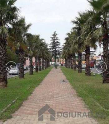 ფოტო 5: დღიური ბინა.