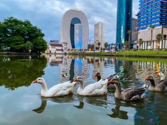 ფოტო 10: ქირავდება დღიურად ორბი სითიში აპარტამენტები