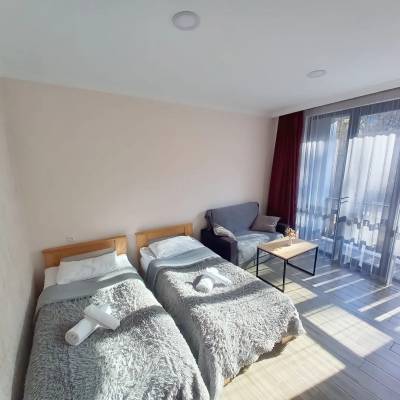 ფოტო 6: ქირავდება ბინა ბორჯომში