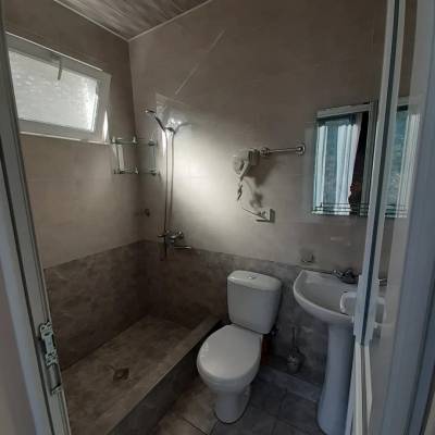 ფოტო 8: ქირავდება ბინა ბორჯომში