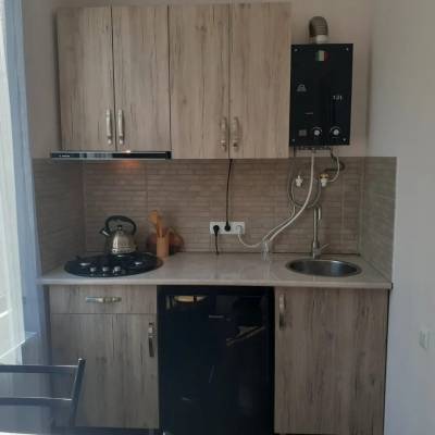 ფოტო 9: ქირავდება ბინა ბორჯომში