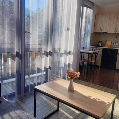 ფოტო 11: ქირავდება ბინა ბორჯომში