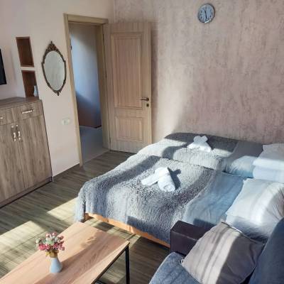 ფოტო 12: ქირავდება ბინა ბორჯომში