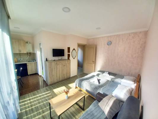 ფოტო 13: ქირავდება ბინა ბორჯომში