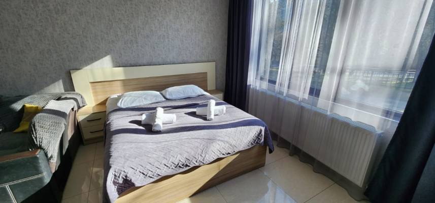 ფოტო 4: დასვენება ბორჯომში ლიკანში ქირავდება კოტეჯში ნომრები