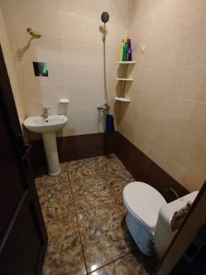 ფოტო 5: ქირავდება მყუდრო ოროთახიანი ბინა ქალაქის ერთ-ერთ საუკეთესო ლოკაციაში — კიკვიძის პარკთან ახლოს