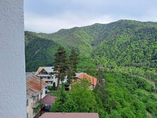 ფოტო 2: ქირავდება ახალი გარემონტებული აპარტამენტი სტუდიო