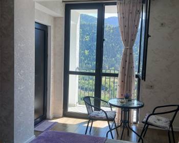 ქირავდება ახალი გარემონტებული აპარტამენტი  სტუდიო