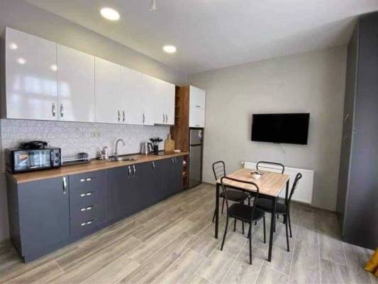 ფოტო 1: ქირავდება 2 ოტახიანი აპარტამენტი ბაკურიანში