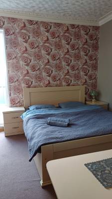 ფოტო 2: ქირავდება ბორჯომში დღიურად