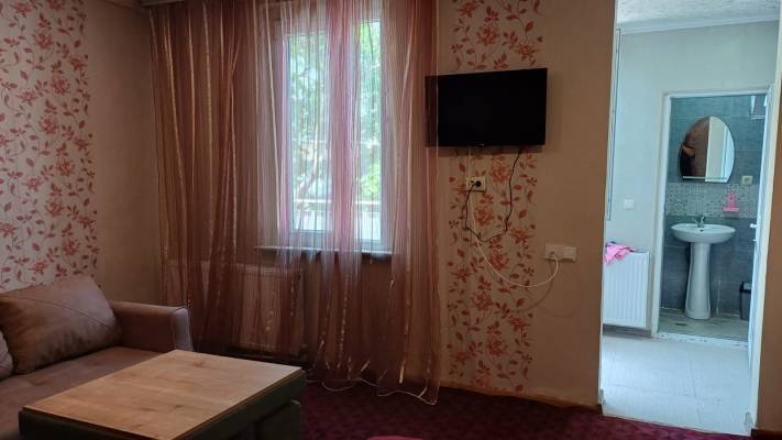 ფოტო 7: ქირავდება ბორჯომში დღიურად