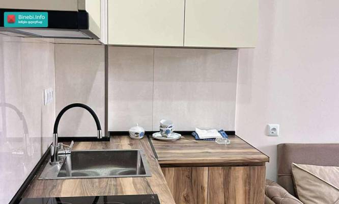 ფოტო 12: ს. ცინცაძეს N -9„.