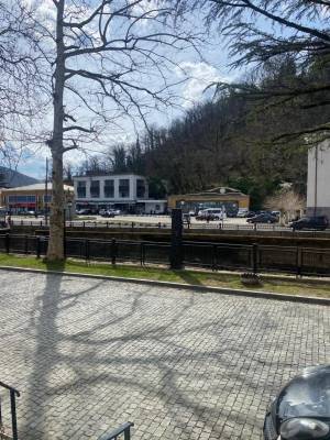 ფოტო 8: ქირავდება საოჯახო სასტუმრო დღიურად ტყიბულში