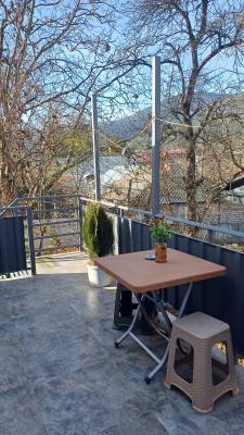 ფოტო 4: ქირავდება ბორჯომში დღიურად