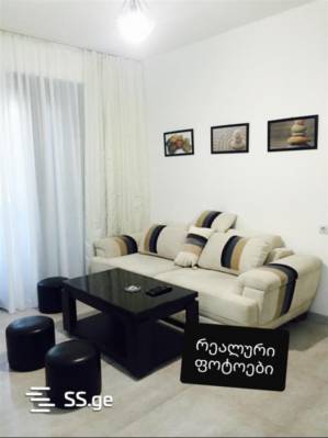 ფოტო 1: ქირავდწბა დღიირად კიკვიძის პარკთან