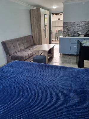 ფოტო 2: ქირავდება იზოლირებული აპარტამენტი სტუდიო