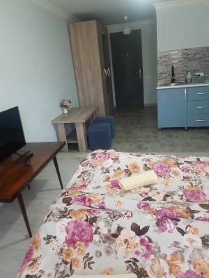 ფოტო 9: ქირავდება იზოლირებული აპარტამენტი სტუდიო