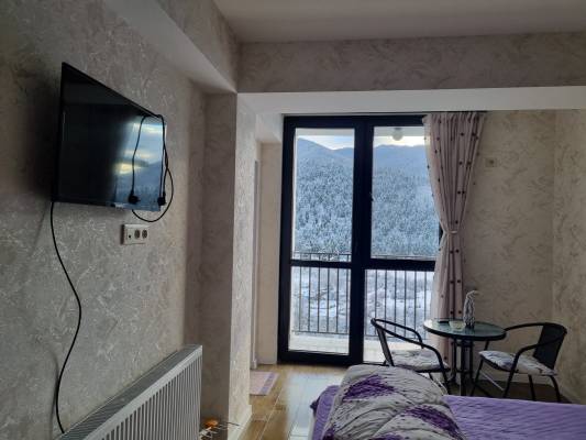 ფოტო 4: ქირავდება ახალი გარემონტებული ბინა აივნით და ლამაზი ხედებით