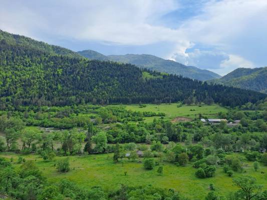 ფოტო 3: ქირავდება ახალი გარემონტებული აპარტამენტი სტუდიი
