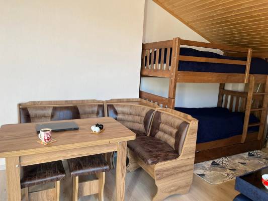 ფოტო 17: ქირავდება ბინა ბაკურიანში