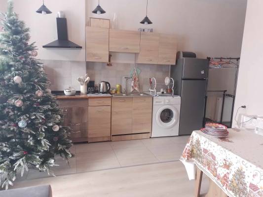 ფოტო 13: ქირავდება ბინა ბაკურიანში