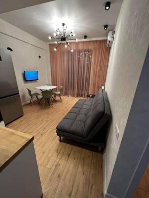 ფოტო 3: ქირავდება დღიურად “ტერასა ორთაჭალა”