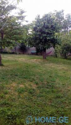 ფოტო 7: ქირავდება აგარაი წყნეთში.  კარ. გი,  წყნარი ადგილი.