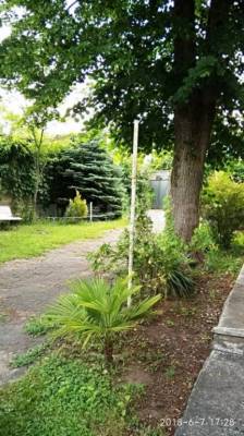 ფოტო 10: ქირავდება აგარაი წყნეთში.  კარ. გი,  წყნარი ადგილი.